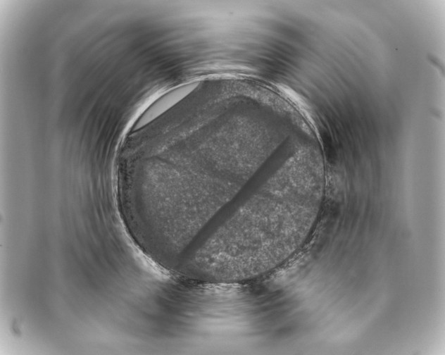 X0000094940859200712201113