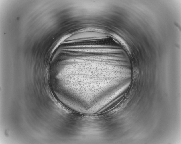 X0000094940860200712201113