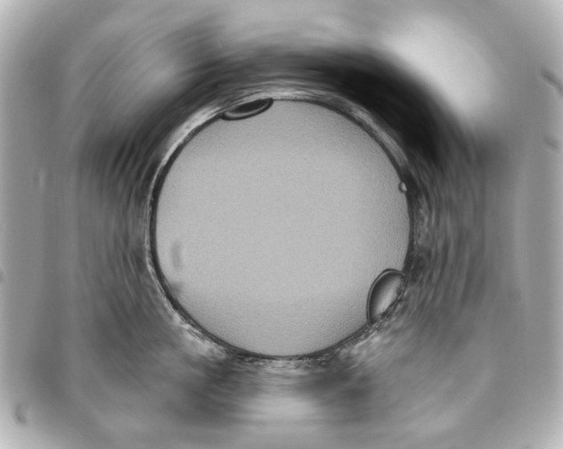 X0000094940861200712201113