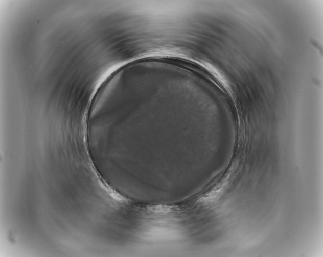 X0000094940862200712201113