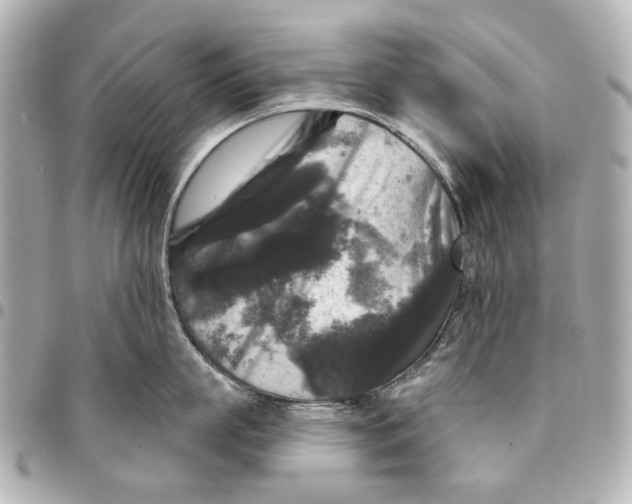 X0000094940863200712201113