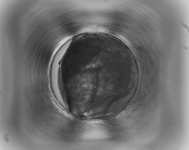 X0000094940864200712201113