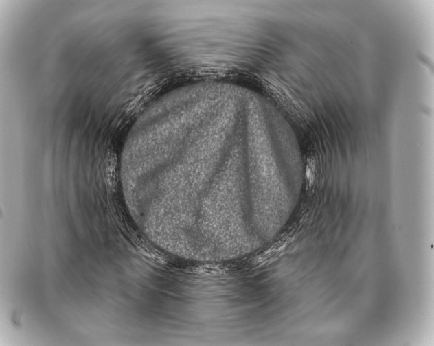 X0000094940867200712201112