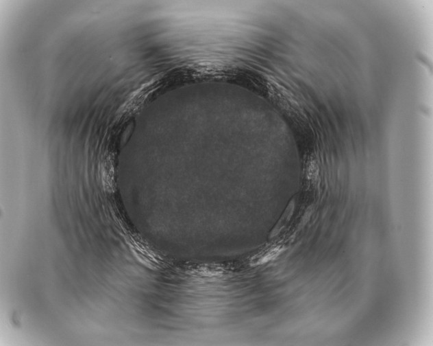 X0000094940868200712201112