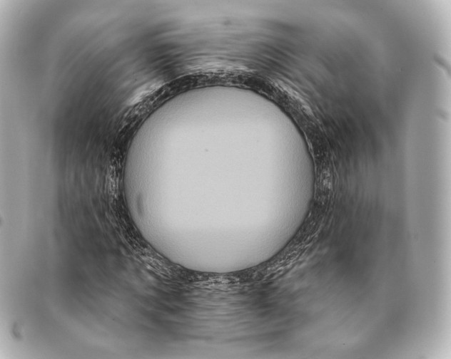 X0000094940869200712201112