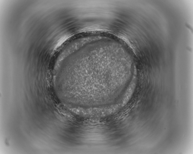 X0000094940871200712201112