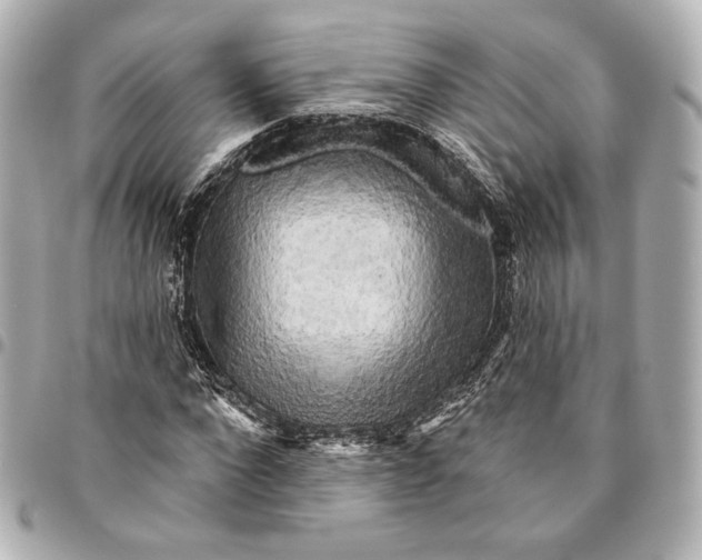 X0000094940872200712201112