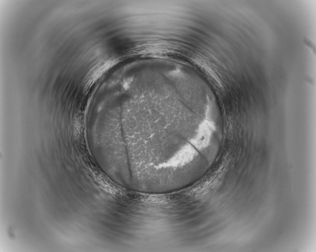 X0000094940874200712201112