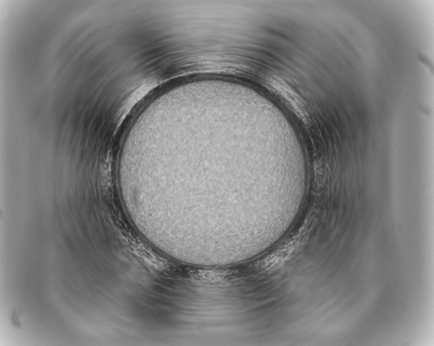 X0000094940875200712201112