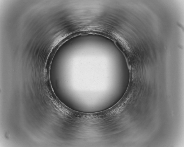 X0000094940876200712201112