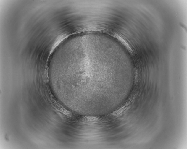 X0000094940878200712201112