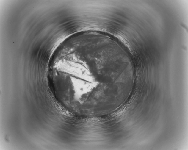 X0000094940879200712201112