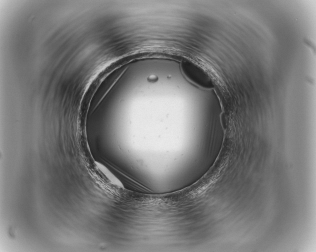 X0000094940880200712201112