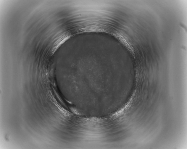 X0000094940881200712201112