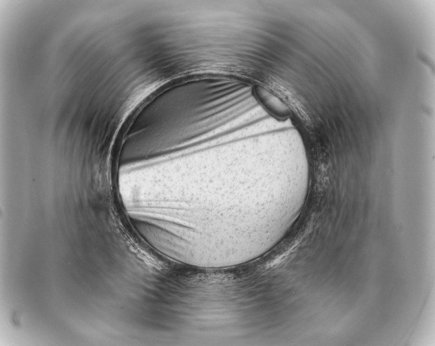 X0000094940884200712201112