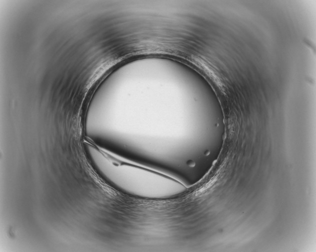 X0000094940885200712201112