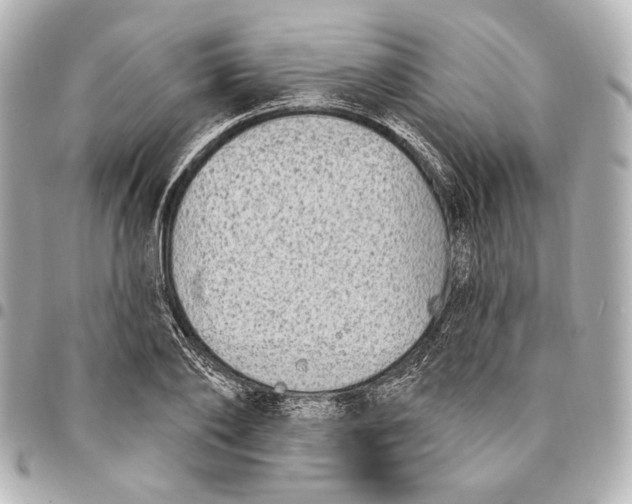 X0000094940886200712201112