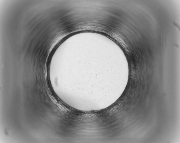 X0000094940888200712201112