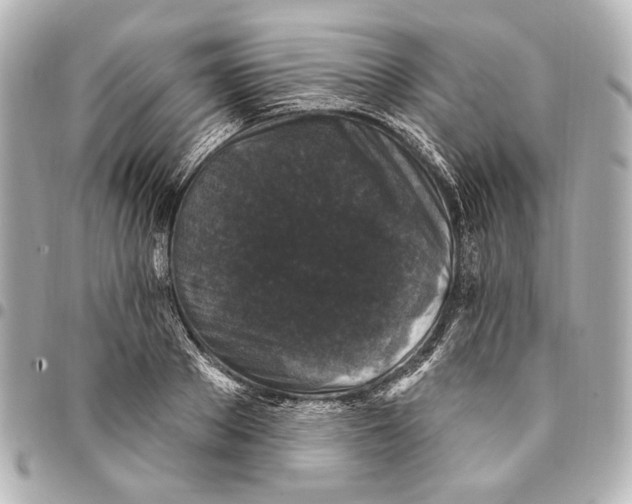 X0000094940889200712201112