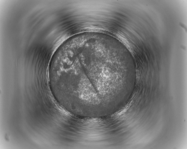 X0000094940891200712201112