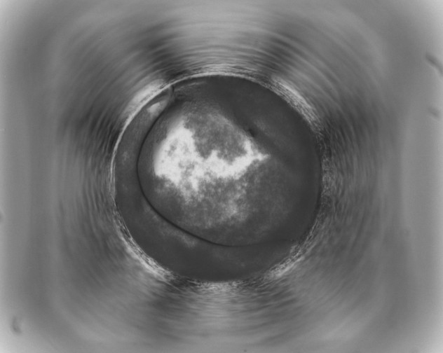 X0000094940892200712201112