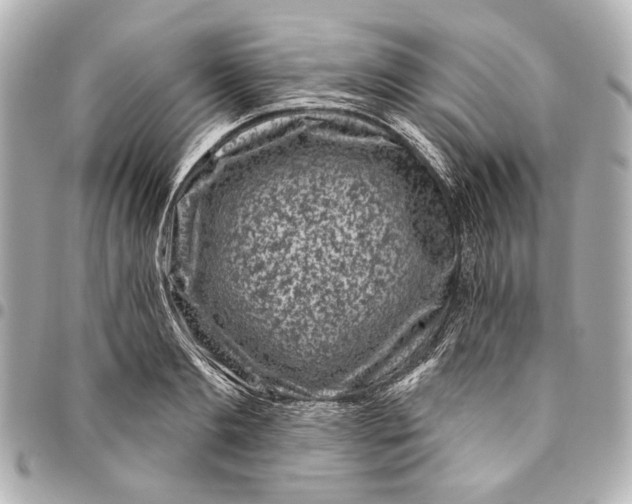 X0000094940893200712201112