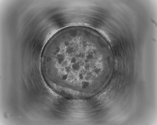 X0000094940895200712201112