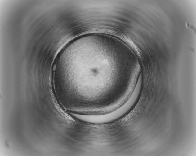 X0000094940896200712201112