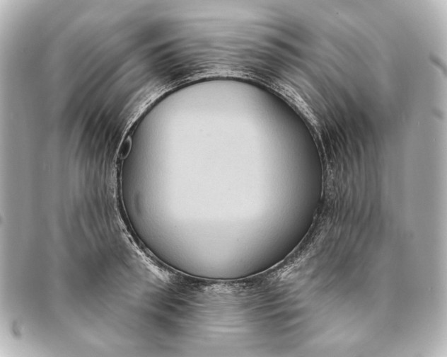 X0000094940898200712201112