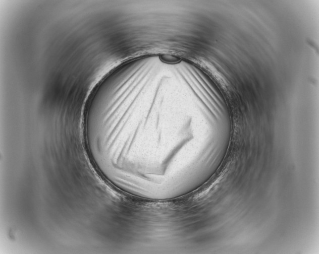 X0000094940902200712201112