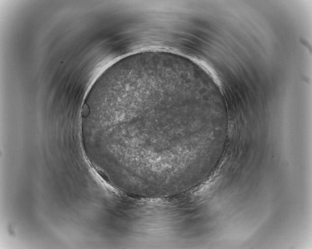 X0000094940903200712201112