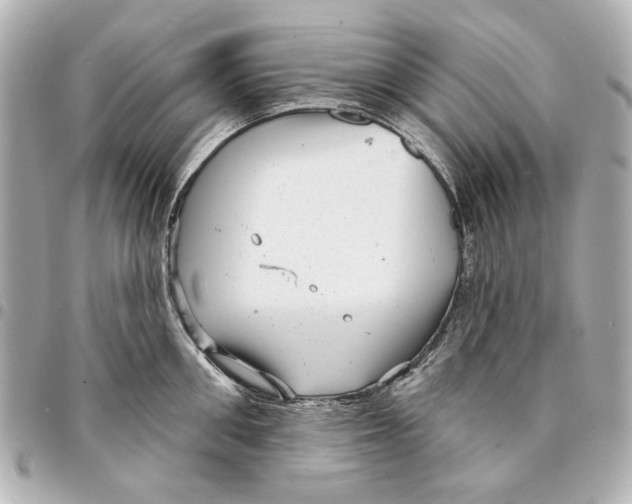 X0000094940906200712201112