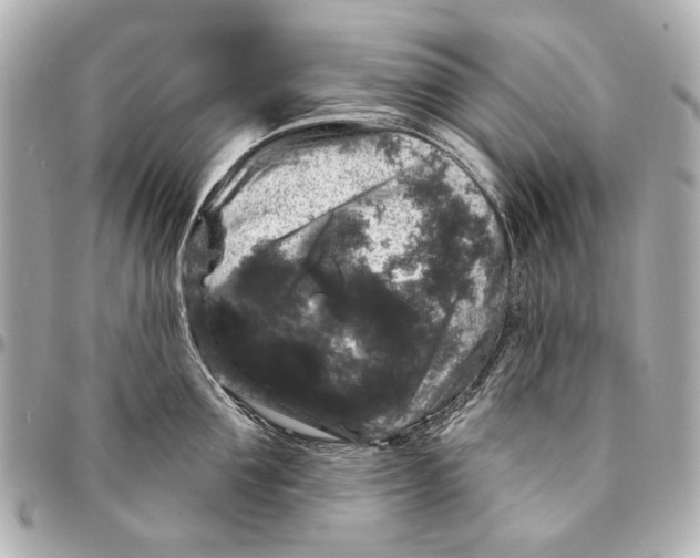 X0000094940907200712201112