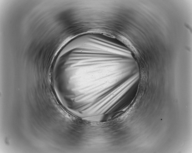 X0000094940908200712201112