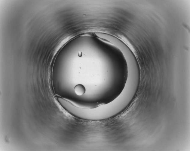 X0000094940909200712201112