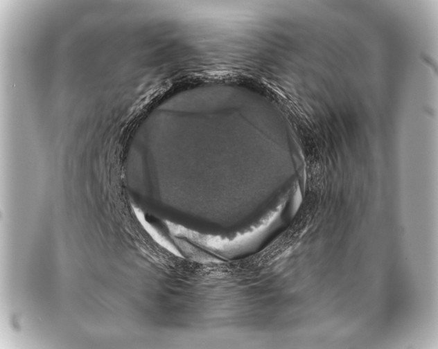 X0000094940913200712201111