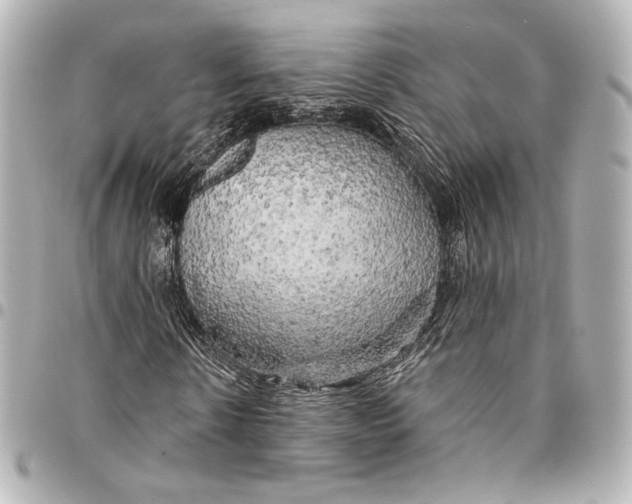 X0000094940914200712201111