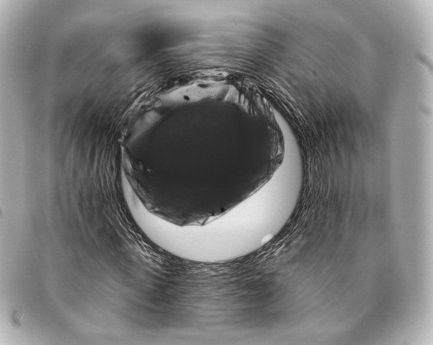 X0000094940915200712201111