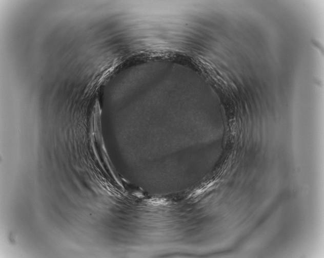 X0000094940916200712201111