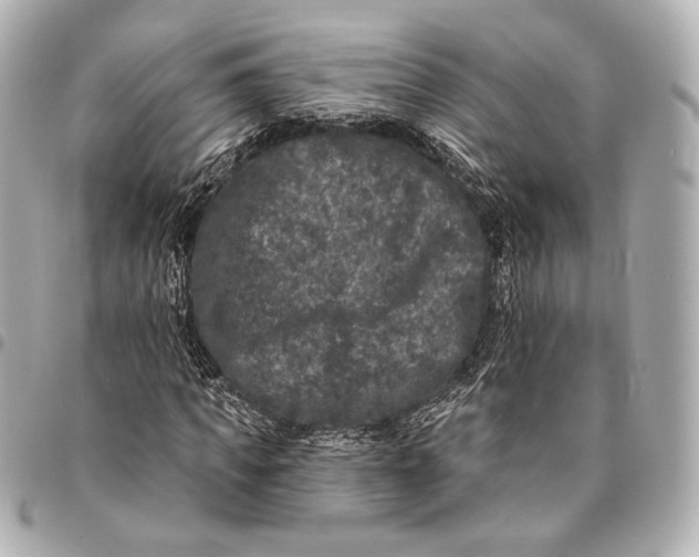 X0000094940917200712201111