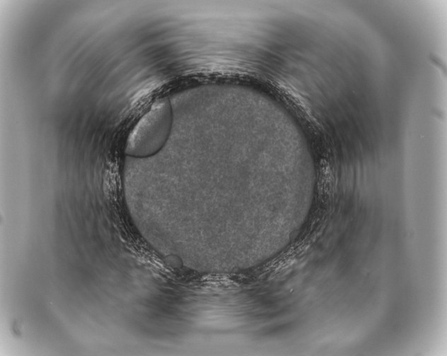 X0000094940918200712201111