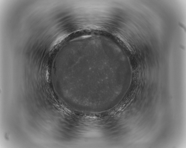 X0000094940919200712201111