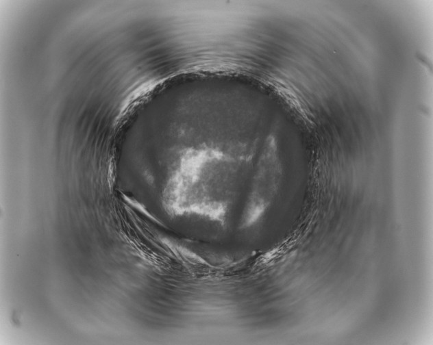 X0000094940920200712201111