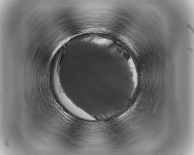 X0000094940923200712201111