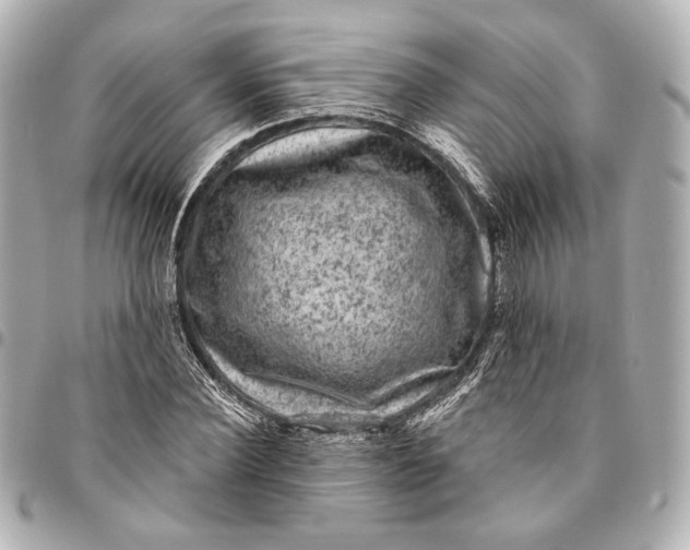 X0000094940924200712201111