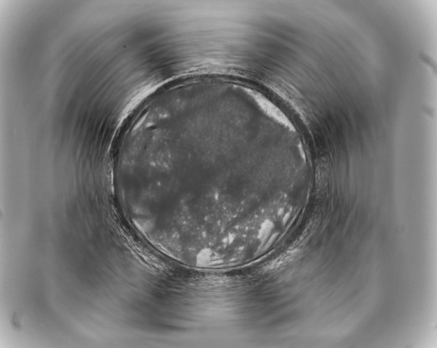 X0000094940925200712201111