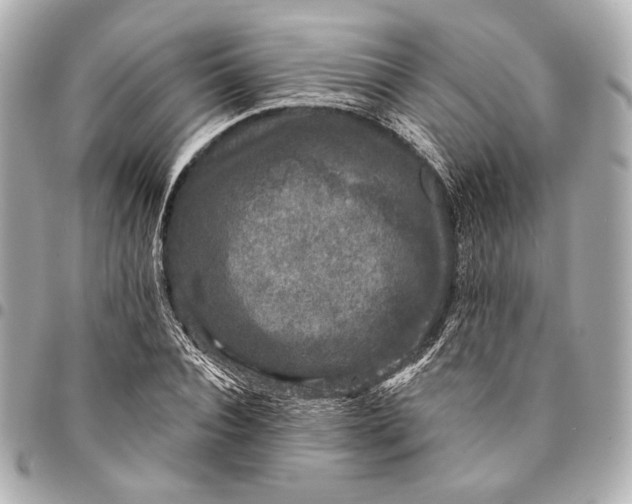 X0000094940928200712201111