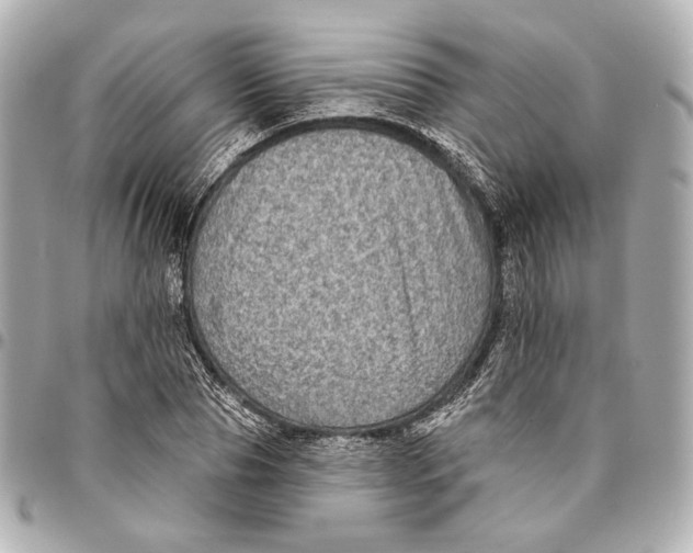 X0000094940929200712201111