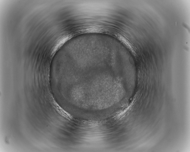 X0000094940930200712201111