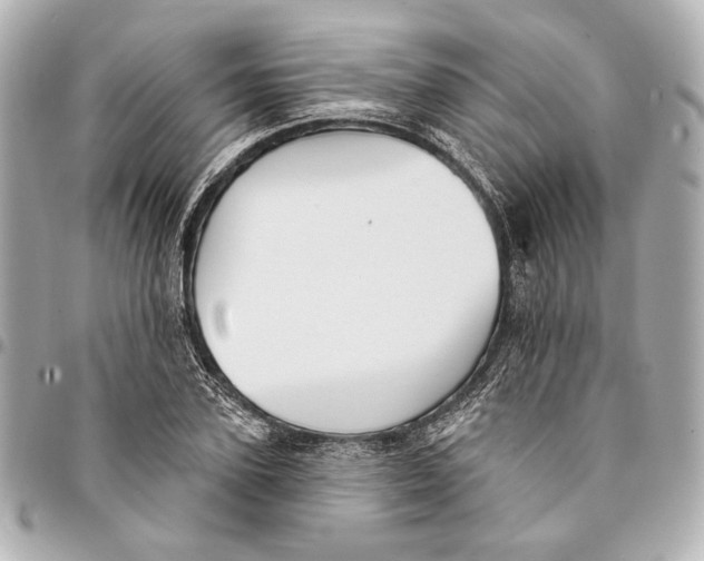 X0000094940931200712201111